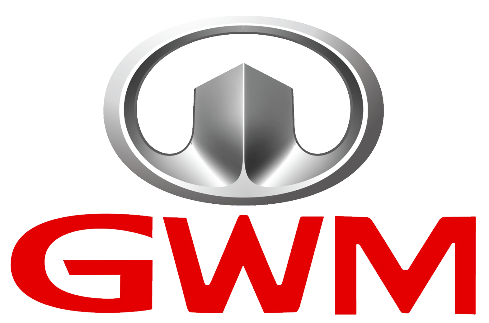 Website Logo