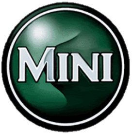 Website Logo