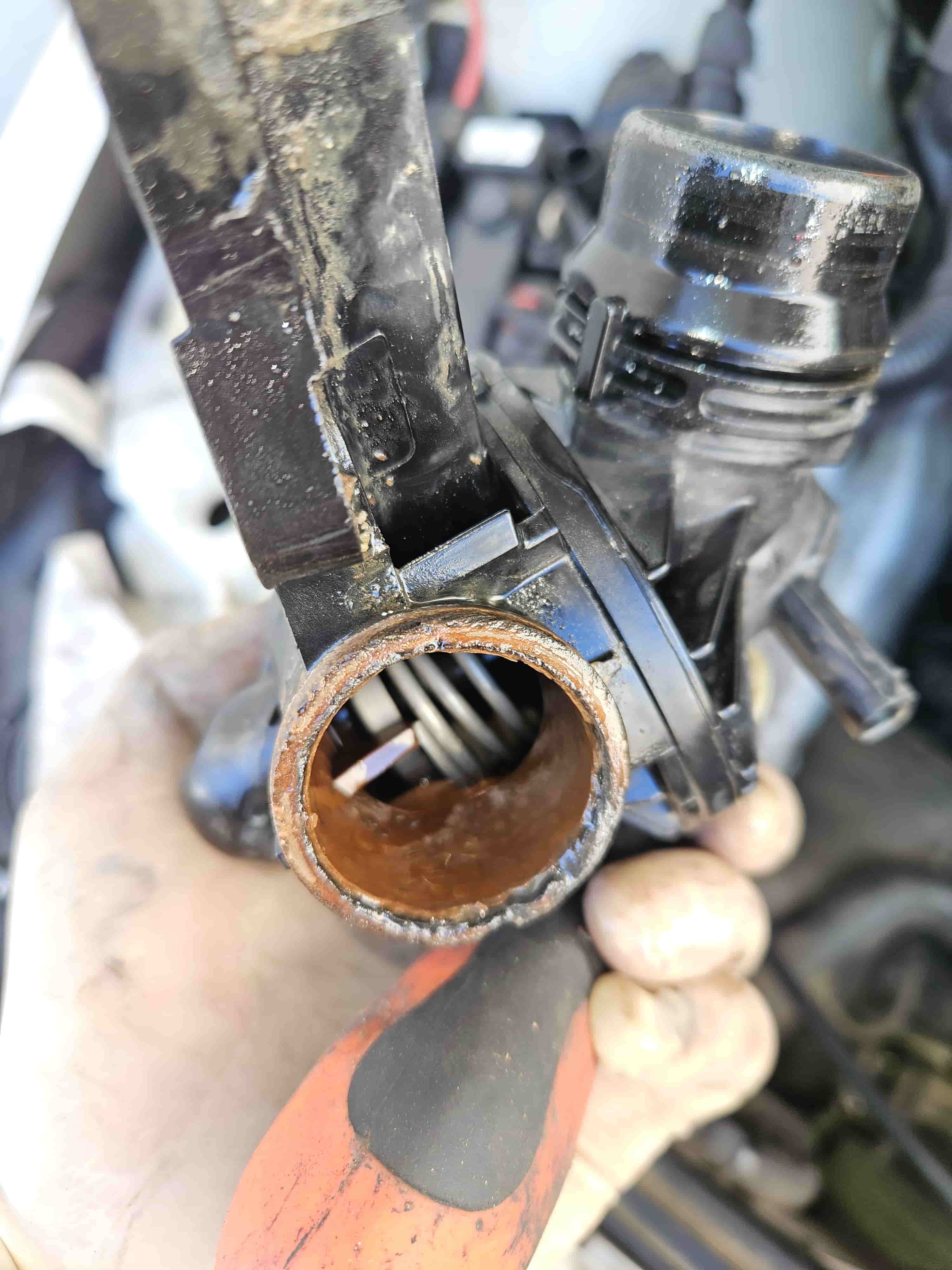 BMW Thermostat